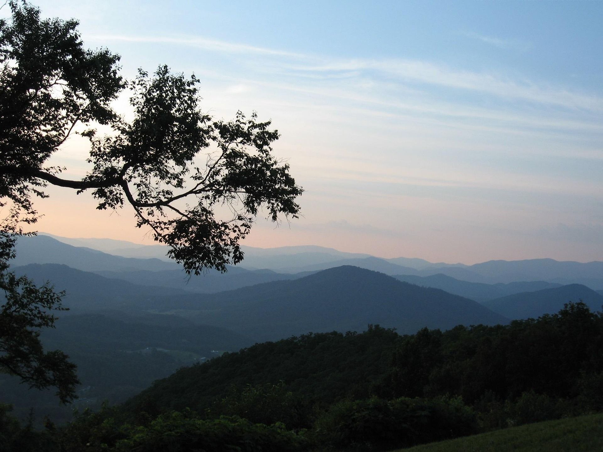Layered Blue Ridge mountains at dusk, a tree silhouetted in the foreground
